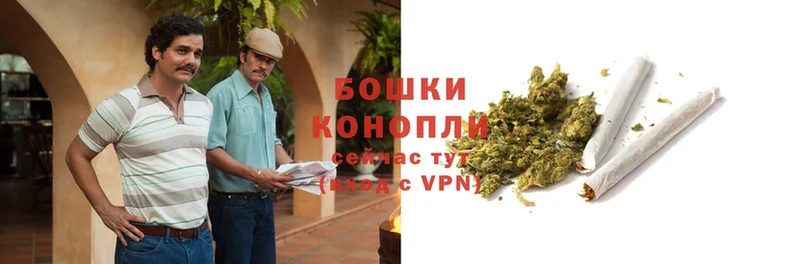 продажа наркотиков  Опочка  Каннабис LSD WEED 